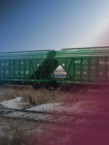The Tractor <br> Plants Group